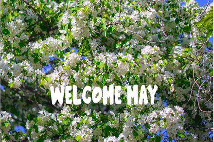 Welcome may, Sun shining through the, a Nature Photo by darksoul72