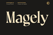 Classic Retro Font Bundle - 80% OFF, a Serif Font by Craft Supply Co. (Thumbnail 5 of 22)