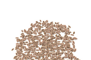 Dill Seeds V1