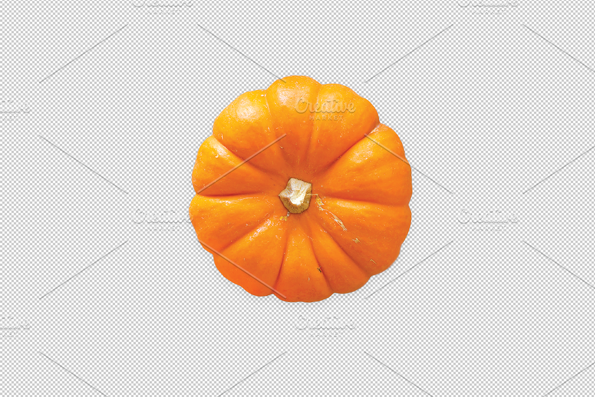 Top view of Mini Pumpkin, a Food & Drink Photo by Professional Assets (Photo 1 of 3)