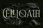 Celliqath Modern Display, a Serif Font by Storytype Studio (Thumbnail 1 of 15)