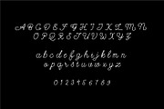 Noodle monoline script font, a Script Font by WAP (Thumbnail 7 of 7)