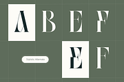 Abogia - Modern Serif Logo Font, a Serif Font by Nirmana Visual (Thumbnail 11 of 16)
