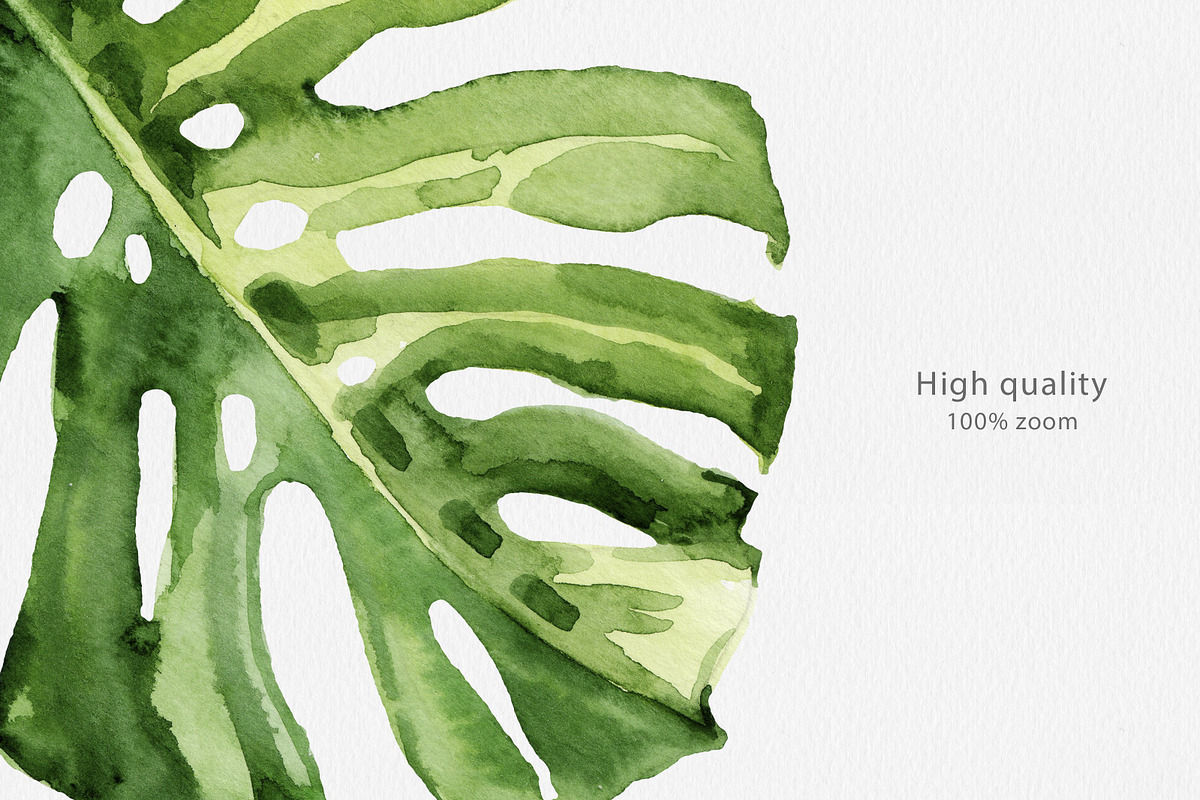 Tropical Leaves Watercolor, a Decorative Illustration by Volha Studio (Photo 4 of 11)