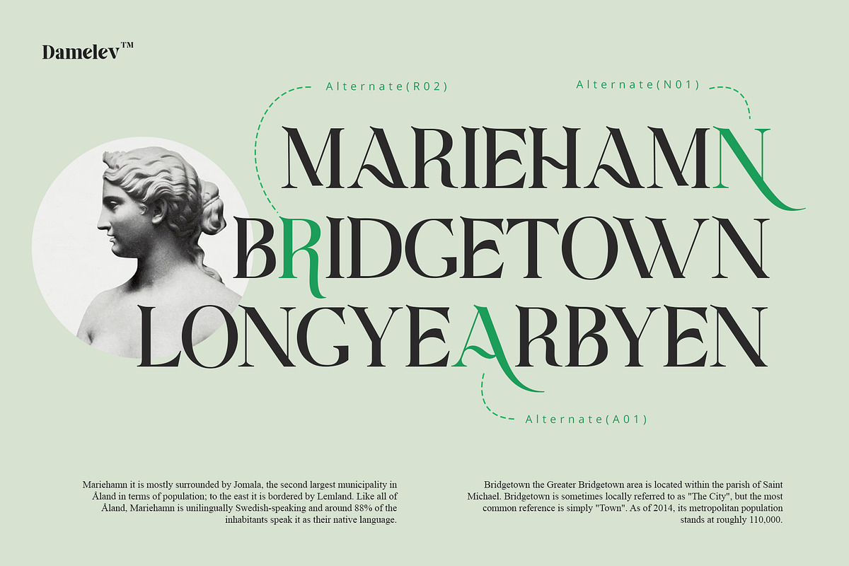 Aquifer, a Serif Font by Damelev (Photo 12 of 15)
