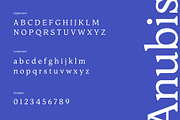 Glyseric Typeface, a Serif Font by Bring To Type (Thumbnail 7 of 7)