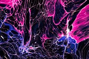 Cell Paint Bundle, a Texture Graphic by Chroma Supply (Thumbnail 13 of 23)