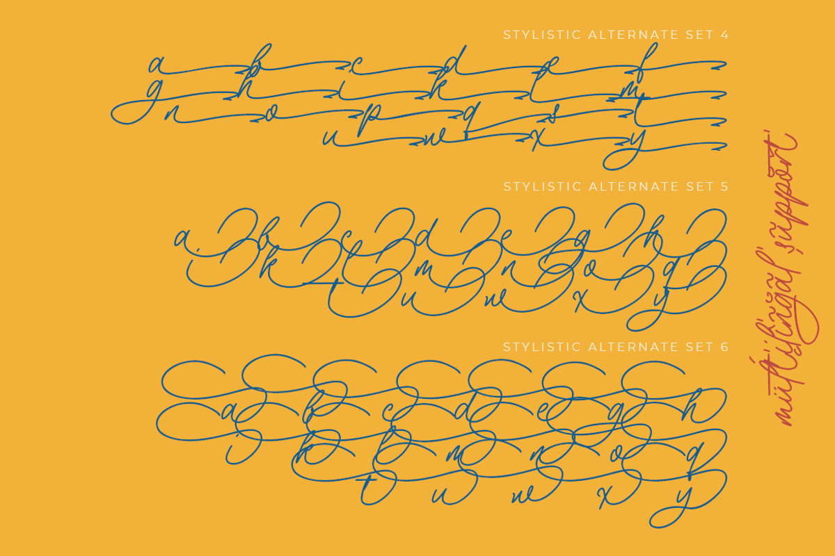 The Philosopher Script Monoline, a Script Font by Colllab Studio (Photo 7 of 18)