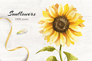 Sunflowers Watercolor Collection, an Illustration by Dervik Art Store (Thumbnail 8 of 8)