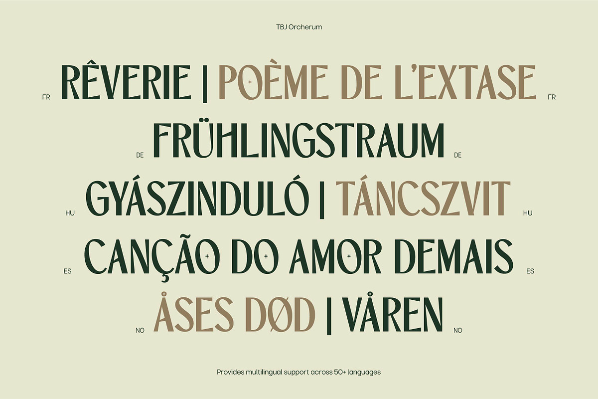 TBJ Orcherum Unique Ligatures Sans, a Font by Taboja Studio (Photo 21 of 21)
