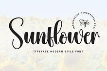 Sunflower | Script Font
