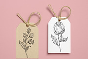 Black Outline Peony Flowers Set, an Illustration by ArtIrisArt (Thumbnail 7 of 13)