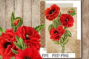 Set. Red poppies, an Illustration by SokolovaSv (Thumbnail 1 of 4)