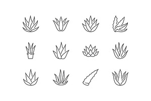 Aloe Vera Line Icons