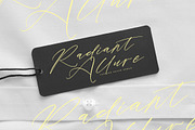 Romstand Bluelife Modern Script Font, a Script Font by stylishtype.co (Thumbnail 11 of 20)