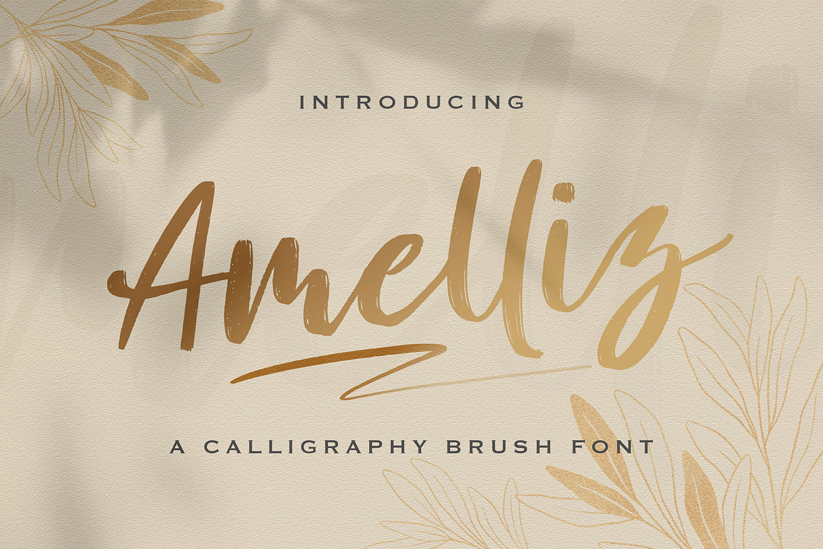 Amelliz - Calligraphy Brush Font, a Script Font by StringLabs (Photo 1 of 10)