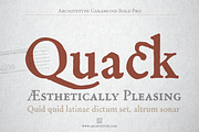 Archive Garamond Pro Family of 4, a Font by Archive Type Fonts (Thumbnail 5 of 14)