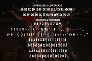 Party Night | Script Font, a Script Font by Scratchones (Thumbnail 7 of 8)