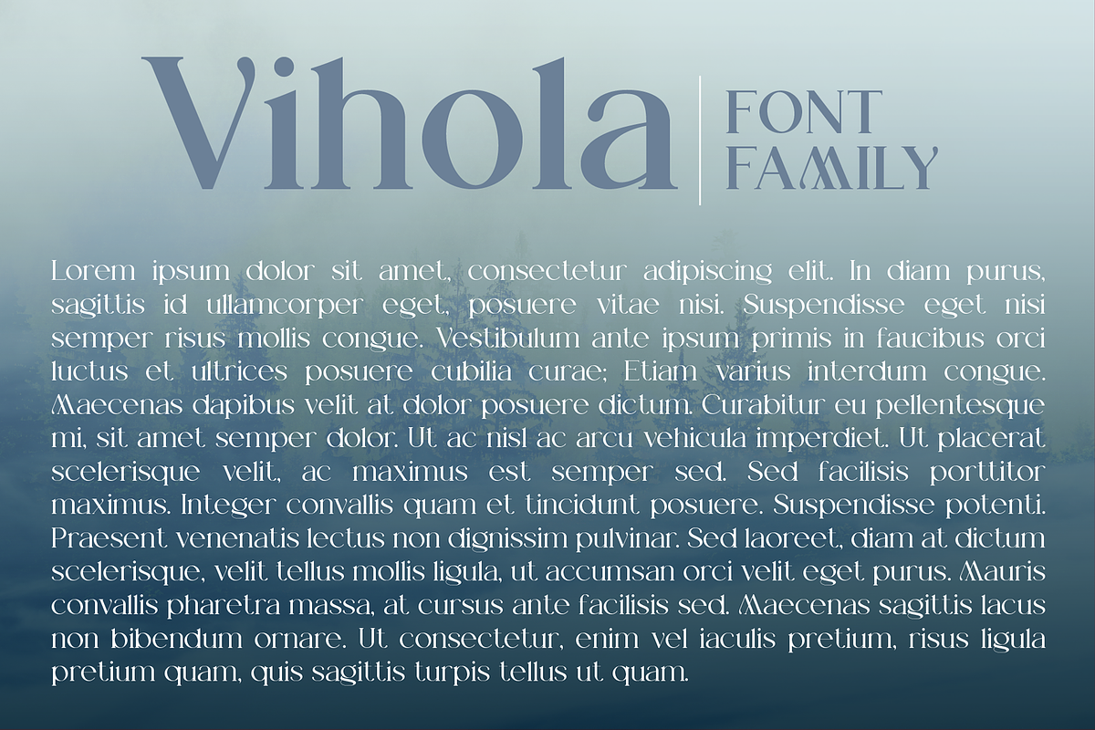 Vihola Font family, a Serif Font by vlad.berla (Photo 6 of 8)