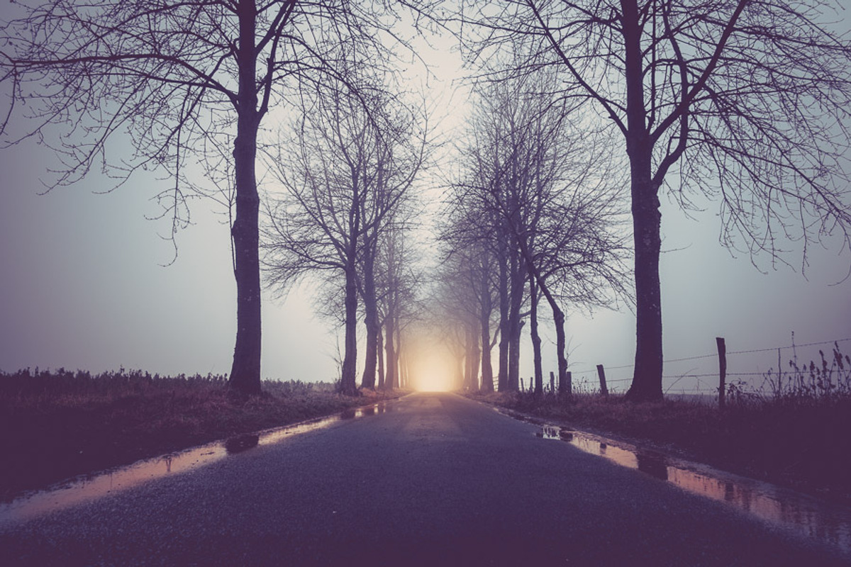 Foggy Day Lightroom Preset, an Action Add-On by Daniel Bartel (Photo 7 of 7)