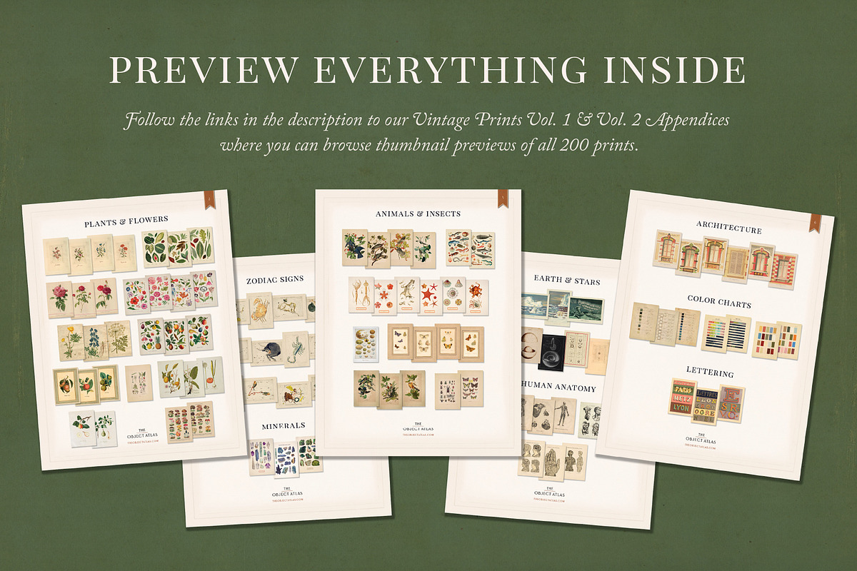 BUNDLE: 200 Vintage Art Prints, a Decorative Illustration by The Object Atlas (Photo 3 of 22)