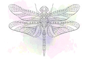 Ethnic Collection: Dragonfly, an Animal Illustration by ArtoJoy (Thumbnail 4 of 5)