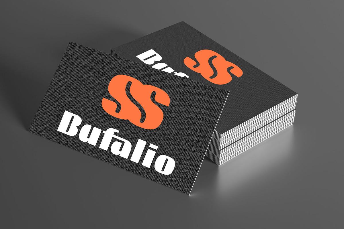 Bufalio Modern Bold Font, a Sans Serif Font by AuthenType (Photo 4 of 10)