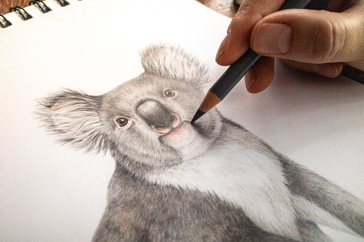 Australia Flora Fauna Clipart, an Animal Illustration by AnitaPol (Photo 12 of 27)
