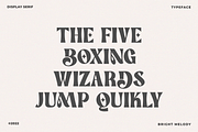 Bright Melody A Display Typeface, a Serif Font by zeenesia (Thumbnail 12 of 18)