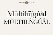 Vineyard - Serif Typeface, a Serif Font by Tropical Type (Thumbnail 10 of 10)