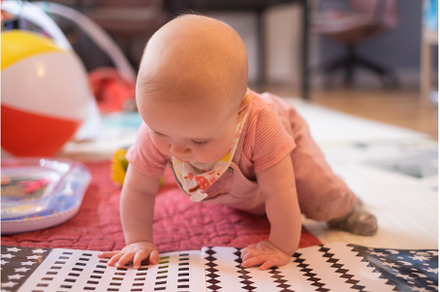six months old caucasian baby on the, a Person Photo by Koldunova
