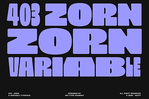 403 Zorn Variable Display Font, a Sans Serif Font by 403 Type Foundry