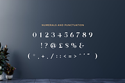 Marietta - Business Font, a Serif Font by RockboyStd (Thumbnail 11 of 12)
