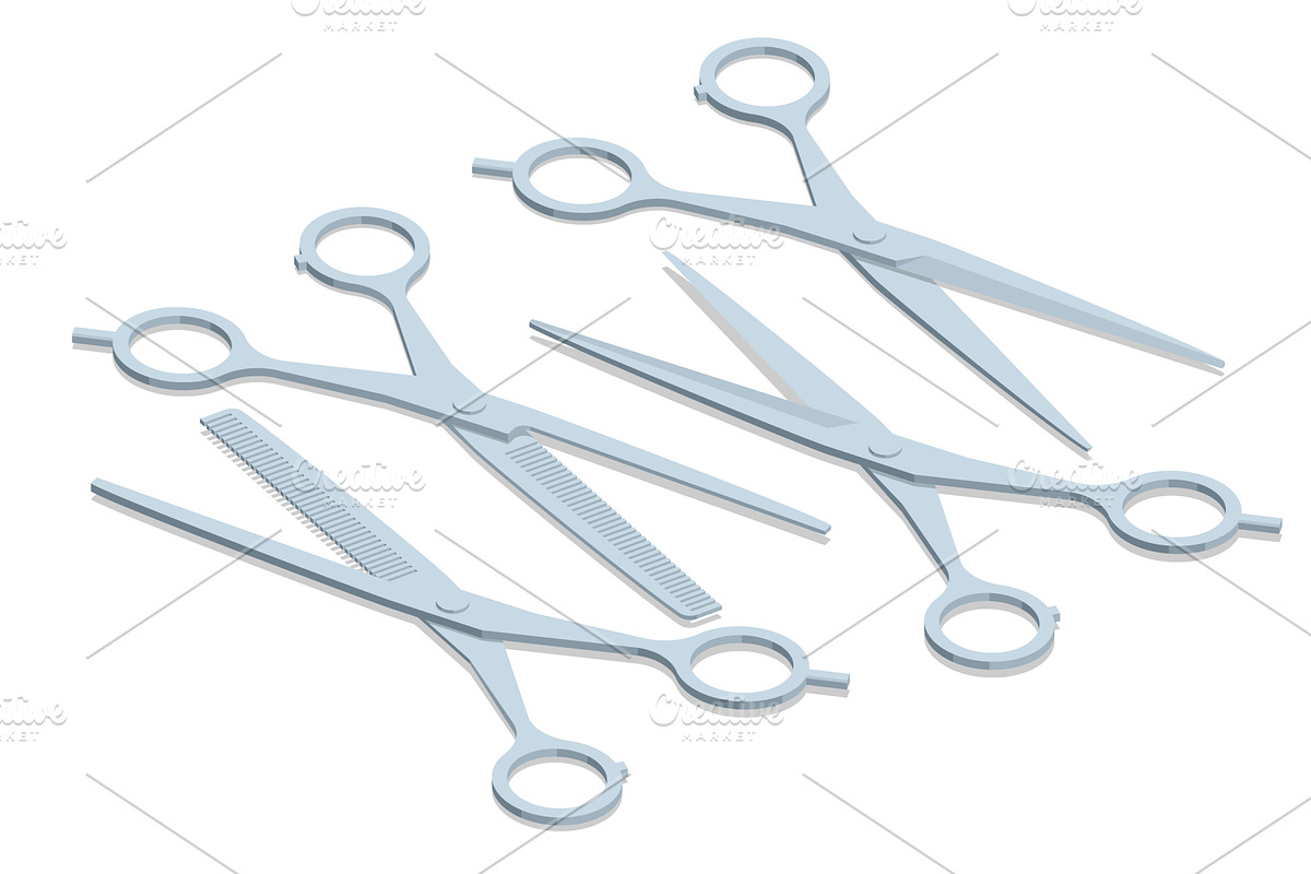 Isometric vector illustration of, an Object Illustration by Golden Sikorka
