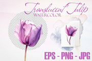 Watercolor Translucent Tulip Vector, a Pattern Graphic by Deckar_art (Thumbnail 2 of 5)