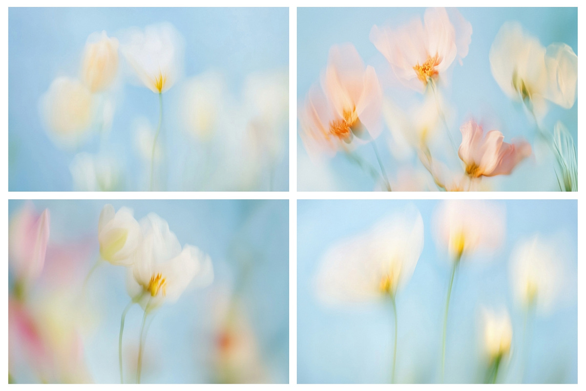 30 Soft Blurred Florals Backgrounds, a Background Graphic by lerinartstudio (Photo 9 of 13)
