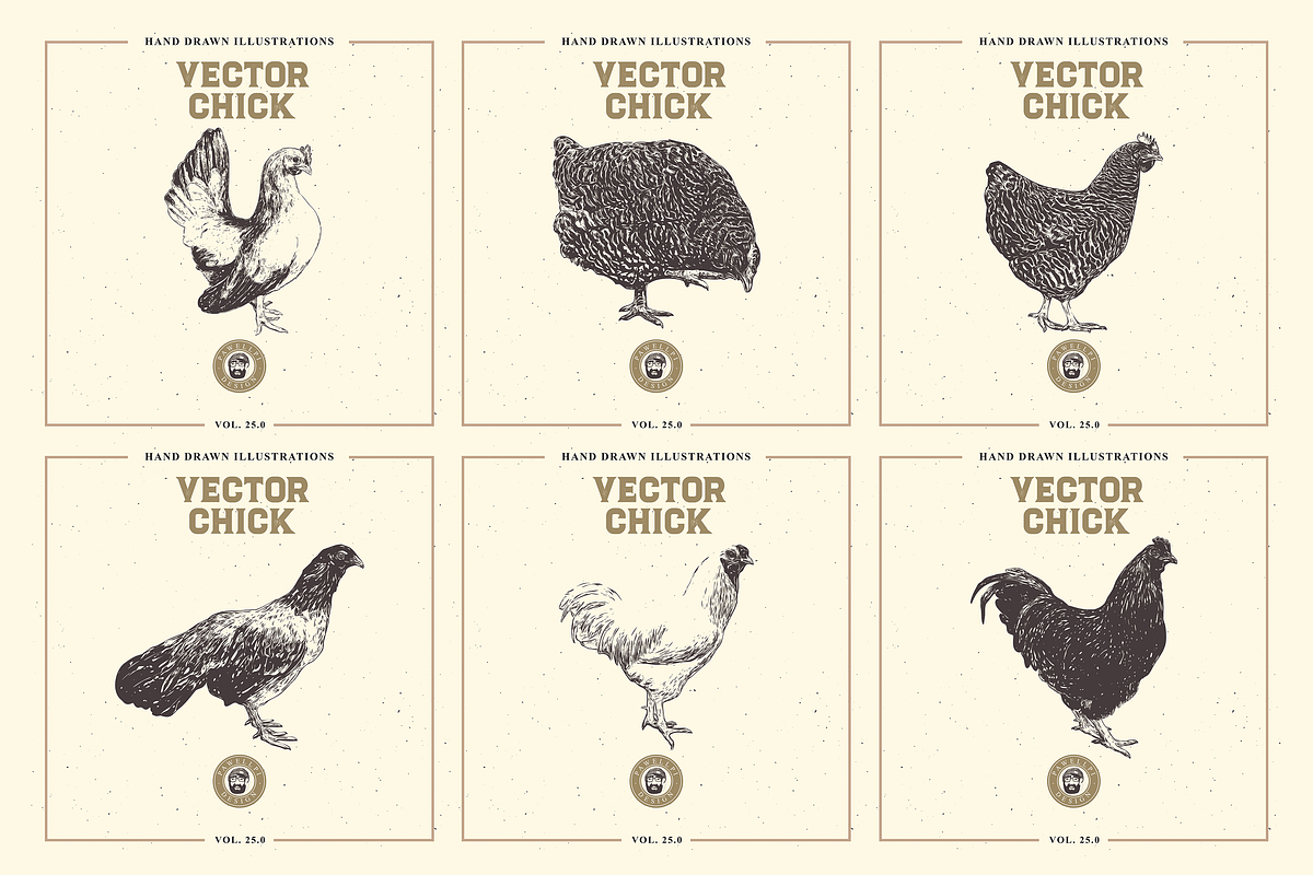 VECTOR CHICK HAND DRAWN BUNDLE VOL25, an Animal Illustration by pawellpi (Photo 8 of 9)