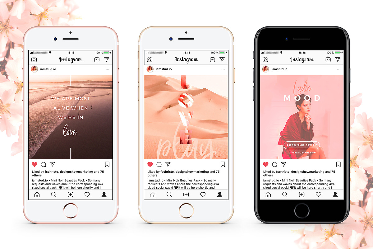 SALE 2in1 Blush Emotions Edition, a Social Media Template by The Wedding Shop (Photo 14 of 14)