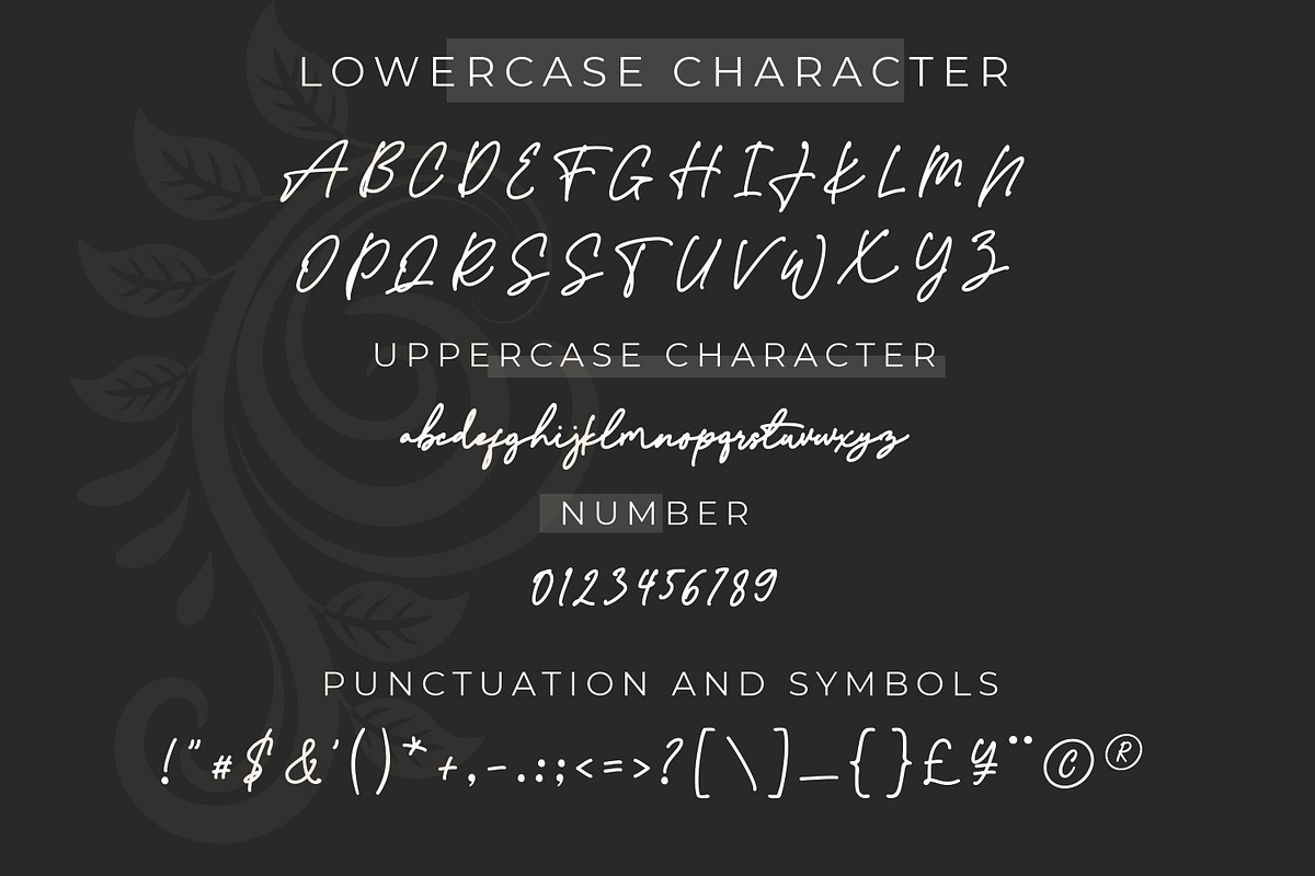 Fantasia - Signature style font, a Script Font by mahstudios (Photo 4 of 8)