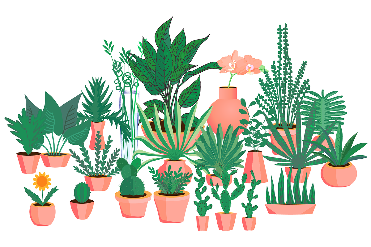 20+ icons of home plants in pots, a Solid Icon by ОльгаМороз (Photo 5 of 14)