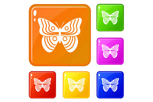 Stripped Butterfly Icons Set Vector