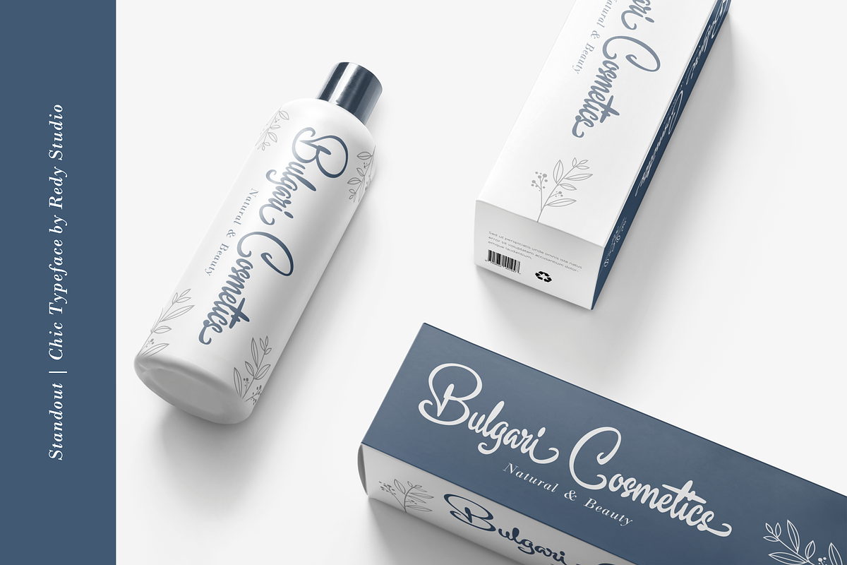 Standout – Chic Typeface, a Script Font by RedyStudio (Photo 4 of 13)