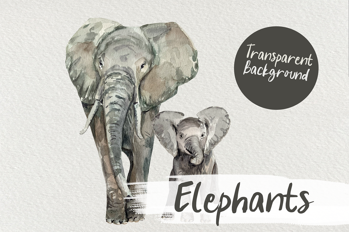 Watercolor Elephants Clip Art, an Illustration by Tati Bordiu (Photo 1 of 4)