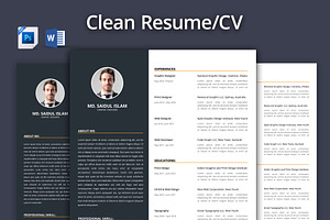 Clean Resume - CV 2017