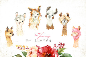 Llamas. Funny Watercolor Animals