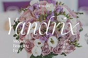 Yandrix | Serif Regular & Italic, a Serif Font by Artdez (Thumbnail 1 of 5)