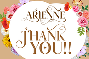 Arienne - Serif Typeface, a Serif Font by Genilson Santos (Thumbnail 14 of 14)