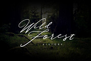 the faino typeface, a Script Font by alit design (Thumbnail 7 of 10)