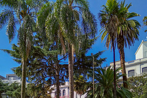 Palm trees and colonial architecture in montevideo zoo park, a Nature Photo by DanFLCreativo