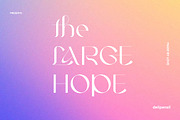 AGELIX - Modern Serif Typeface, a Serif Font by delipensil (Thumbnail 10 of 12)